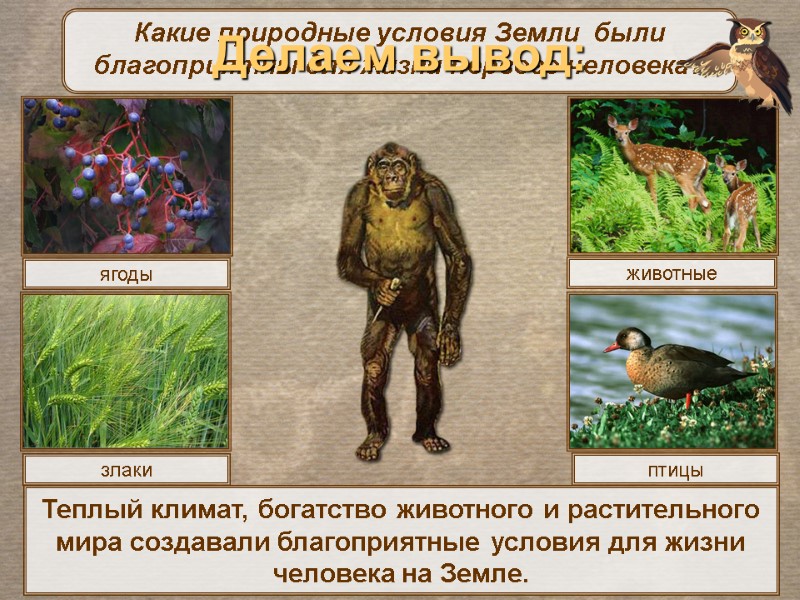 ягоды злаки птицы Какие природные условия Земли  были благоприятны для жизни первого человека?